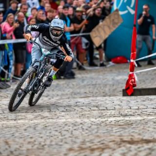 @madmossfamily @alexandrsidor